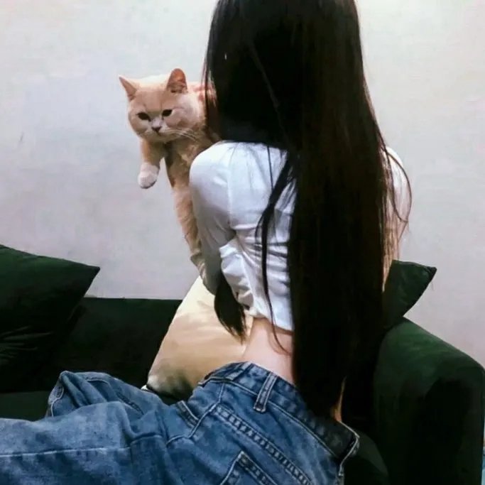 辛巴达七航妖岛